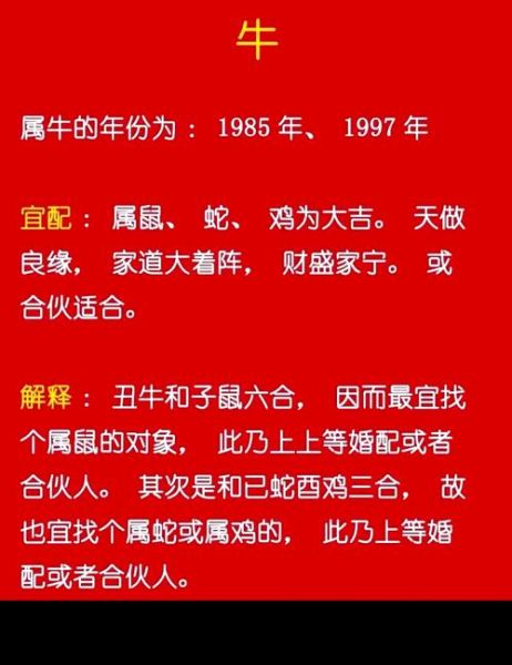 明年婚变生肖是什么属相