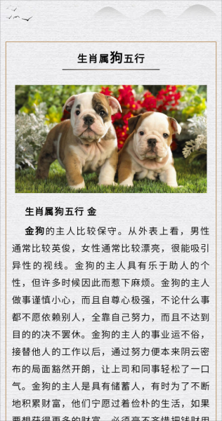 生肖日记属狗属相（生肖日记属狗的人性格特点）