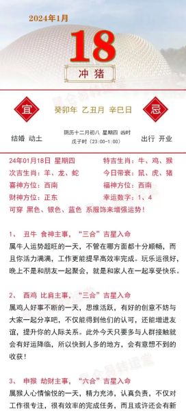 生肖猪的几个类别属相（生肖猪五行属什么命？新手入门）