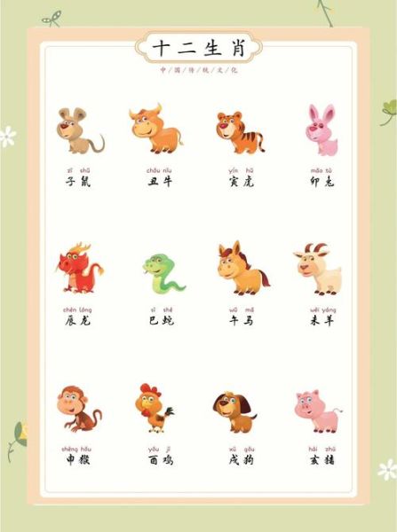 生肖已代表什么属相（生肖已代表什么属相？一键看懂十二属）