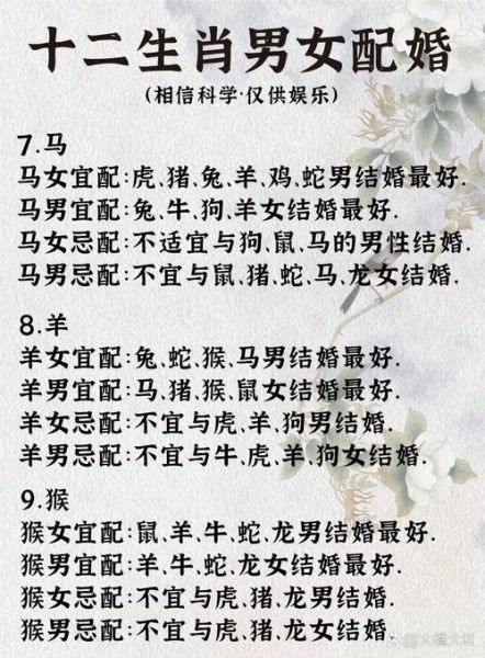 生肖情感婚配属相（2024新版生肖婚配表🔥新手秒懂）
