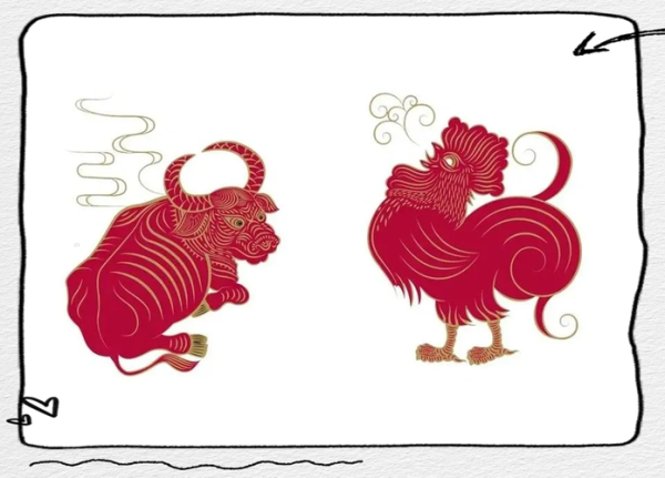 生肖牛属相鸡（生肖牛跟鸡合不合？速查！）