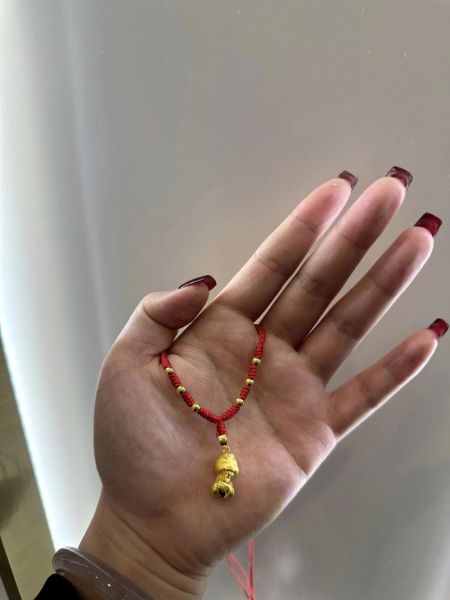 黄金蛇生肖属相项链（黄金蛇生肖属相项链女款纯金）