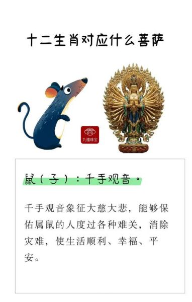 和尚属哪种生肖属相最好（和尚属哪个生肖最好？揭秘佛学与属相的缘分🔍）