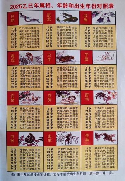 9岁属什么生肖属相（9岁属什么生肖2025最新版速查）