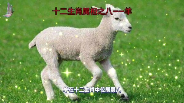 某领导是哪个生肖属相（某属生肖属相是什么生肖）