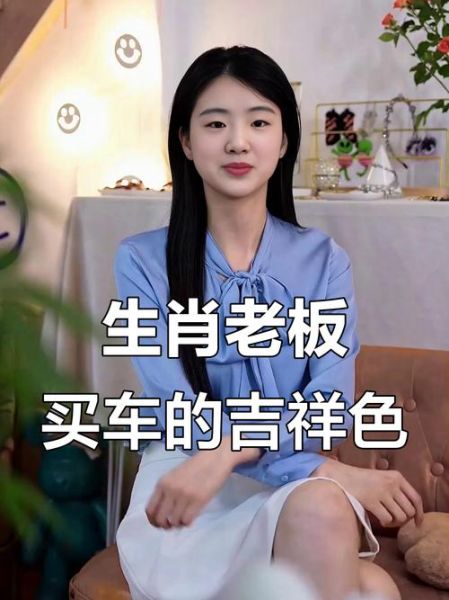 生肖属相买车颜色（属龙人买车最旺的颜色）