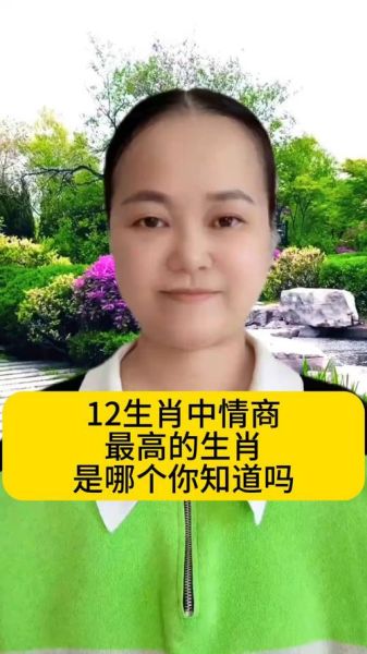 十二生肖情商高的属相女（情商最高的生肖女是谁？）