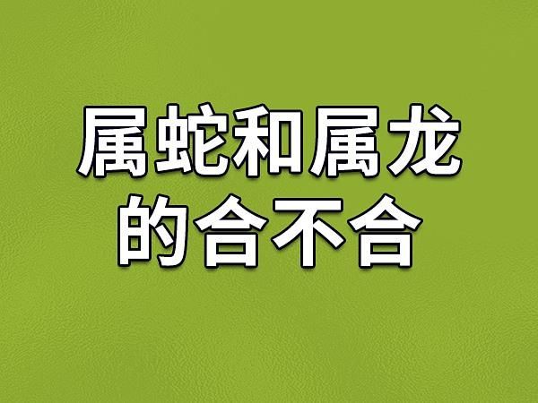 生肖龙与生肖蛇属相合吗(属龙跟属蛇的合不合婚?一文看懂)