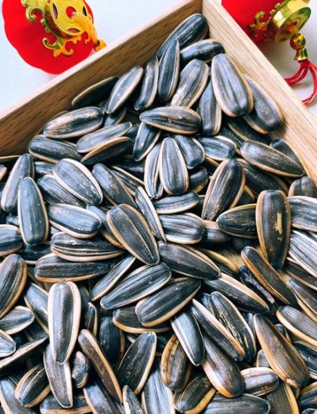 瓜籽属哪个生肖属相最好(瓜籽属哪个生肖吃最旺)