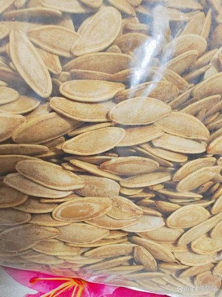 瓜籽属哪个生肖属相最好(瓜籽属哪个生肖吃最旺)