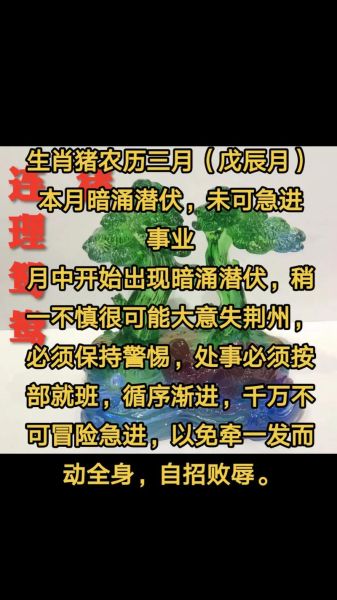 猪是什么年生肖属相（属猪是哪年出生的？生肖年份速查）