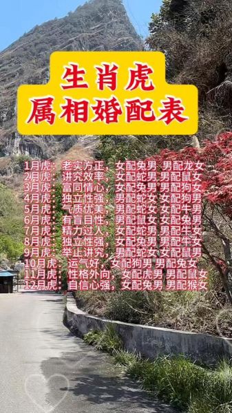 虎年生肖配偶属相（虎年生肖配偶属相最佳匹配排行榜🐯♥️）