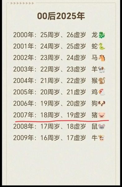 2007是什么生肖属相（2007年属什么生肖？2007年属猪运势详解）