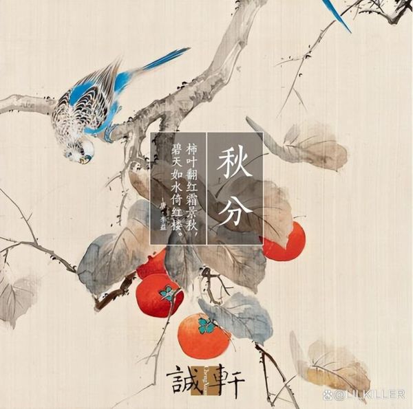 秋分对应什么生肖属相（秋分是什么生肖）