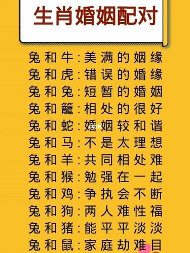 生肖兔和属相什么配（生肖兔和什么属相最配？新手一看就懂）