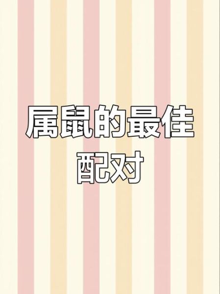 生肖鼠与什么属相合作好（生肖鼠最佳事业搭档是哪三属相）