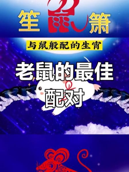 生肖老鼠和什么属相合(属鼠最合的三大生肖是哪些)