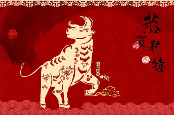 豆属哪个生肖属相最好(豆指什么生肖最旺?属牛还是属鼠好?)