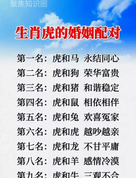 虎生肖最佳伴侣属相（虎的最佳伴侣是什么属相）