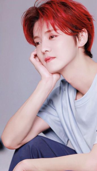 鹿晗属相什么生肖（鹿晗属什么生肖🐑新手一看就懂）