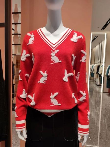 生肖属相励志长袖打底衫