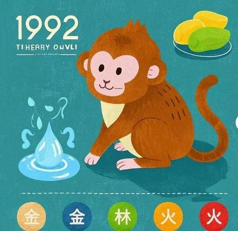 92年属相什么生肖五行(92年属猴五行缺什么)