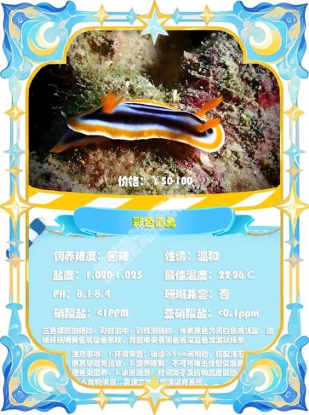 海兔王什么生肖属相（海兔王属什么生肖？真相来了）