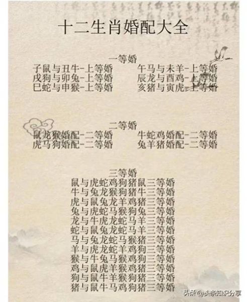 生肖属相婚配准吗（生肖属相婚配准吗🤔）