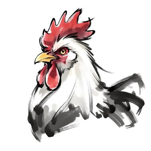 十二生肖属相鸡头像（十二生肖属相鸡头像高清微信头像制作教程）