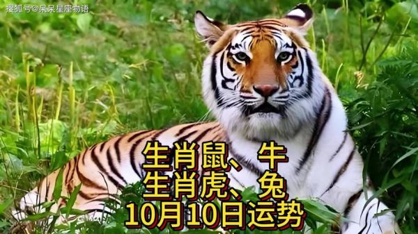 蔡国威是什么生肖属相