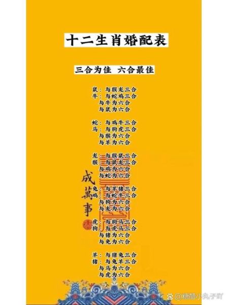 十二生肖属相夫妻（十二生肖属相夫妻配对速查表）