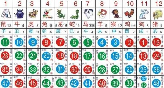 买房子看不看生肖属相（买房子要看生肖属相吗）