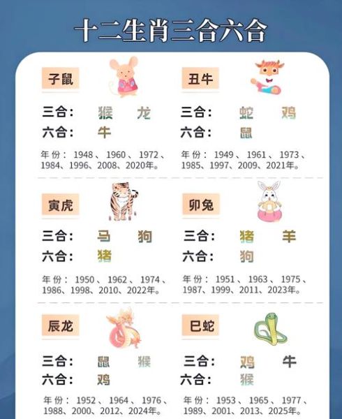 生肖小属相与大属相合不合（生肖小属相和大属相合不合？）