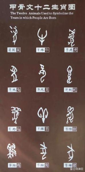 古字属什么生肖属相（古字属什么生肖对应表）