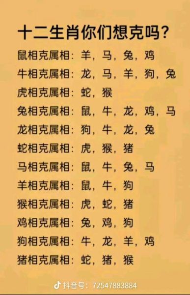 如何看待生肖不合的属相（生肖不合的属相能幸福吗？小白避坑指南）