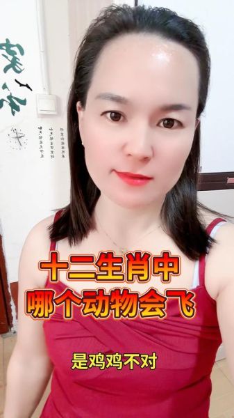 凤凰于飞属相什么生肖（凤凰于飞属什么生肖？快速看懂！）