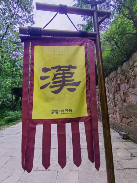 姜维生肖属相（姜维生肖属羊是哪一年）