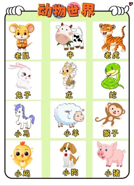 生肖属相大全维语表达（维语十二生肖怎么说？超萌发音图来啦）