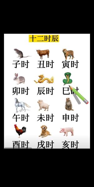 十二生肖时辰属相图（十二生肖时辰对照表查询）
