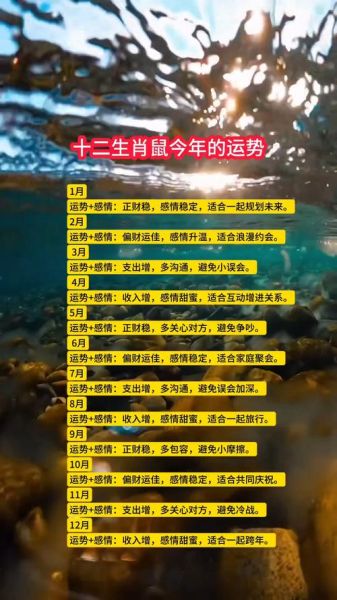 生肖鼠的属相年龄（生肖鼠的今年多大了对照表）