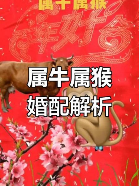 生肖牛与哪个属相最佳（生肖牛最配属相婚姻组合）