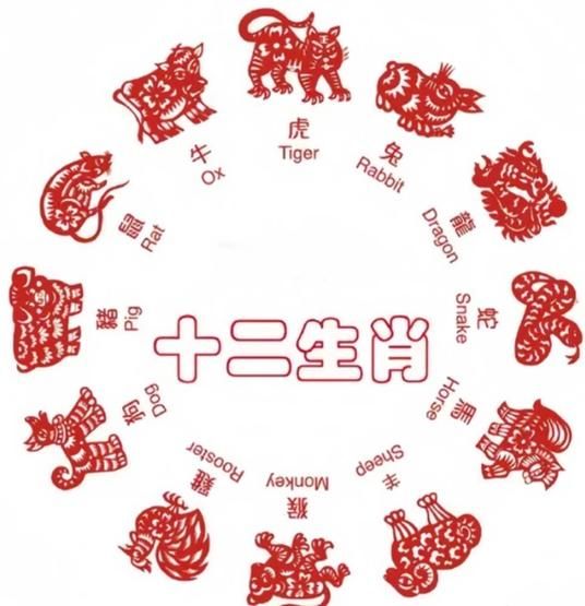 添丁生肖属相是什么(添丁生肖属相究竟是什么)