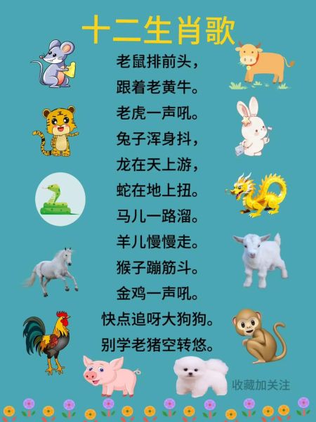 十二生肖歌属相(十二生肖歌儿歌完整版歌词及背诵技巧)