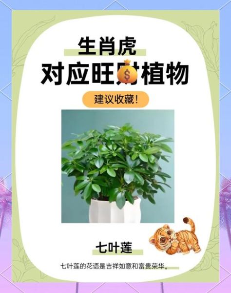 十二生肖的植物属相(十二生肖开运植物对照表)