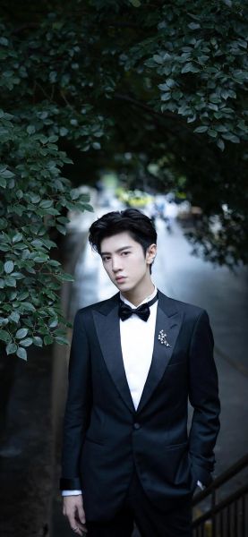 陈哲远生肖属相(陈哲远属什么生肖?)