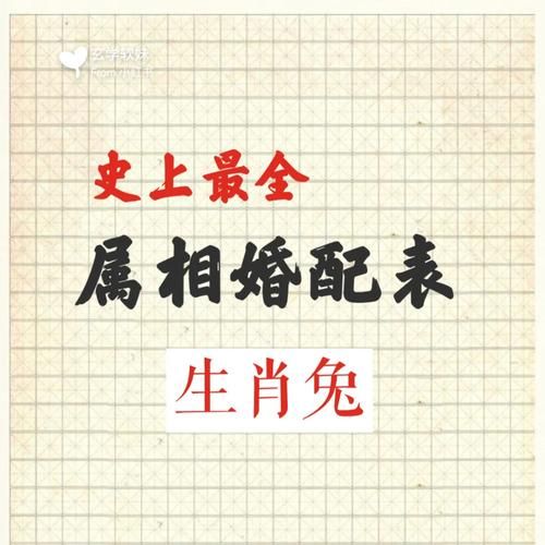 和兔属相合的生肖（兔属相和什么最配？5组黄金CP速查！）