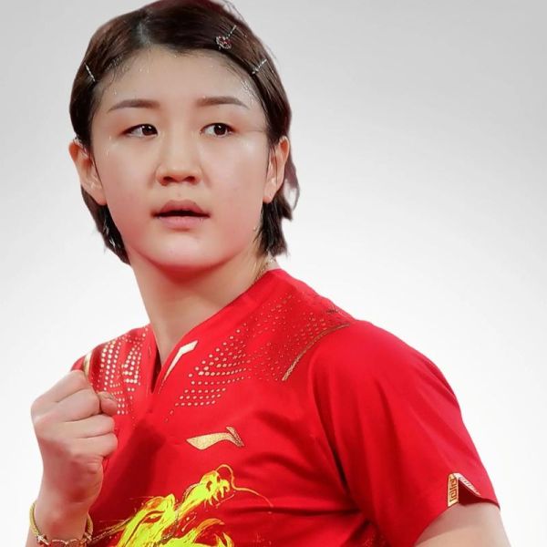 陈梦属相是什么生肖