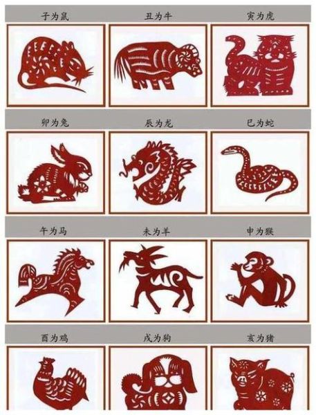 怮是什么生肖属相