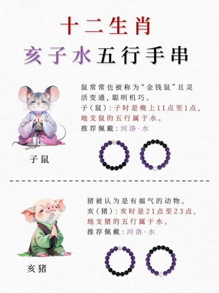 亥时是什么生肖属相